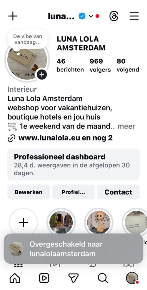Instagram-profiel van Luna & Lola met 969 volgers